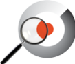 Search all visitor data