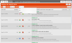 screenshot of visitors by search term FUll display collapsed results