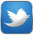 icon showing twitter logo