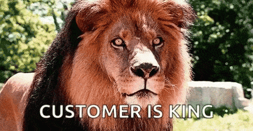customer is king